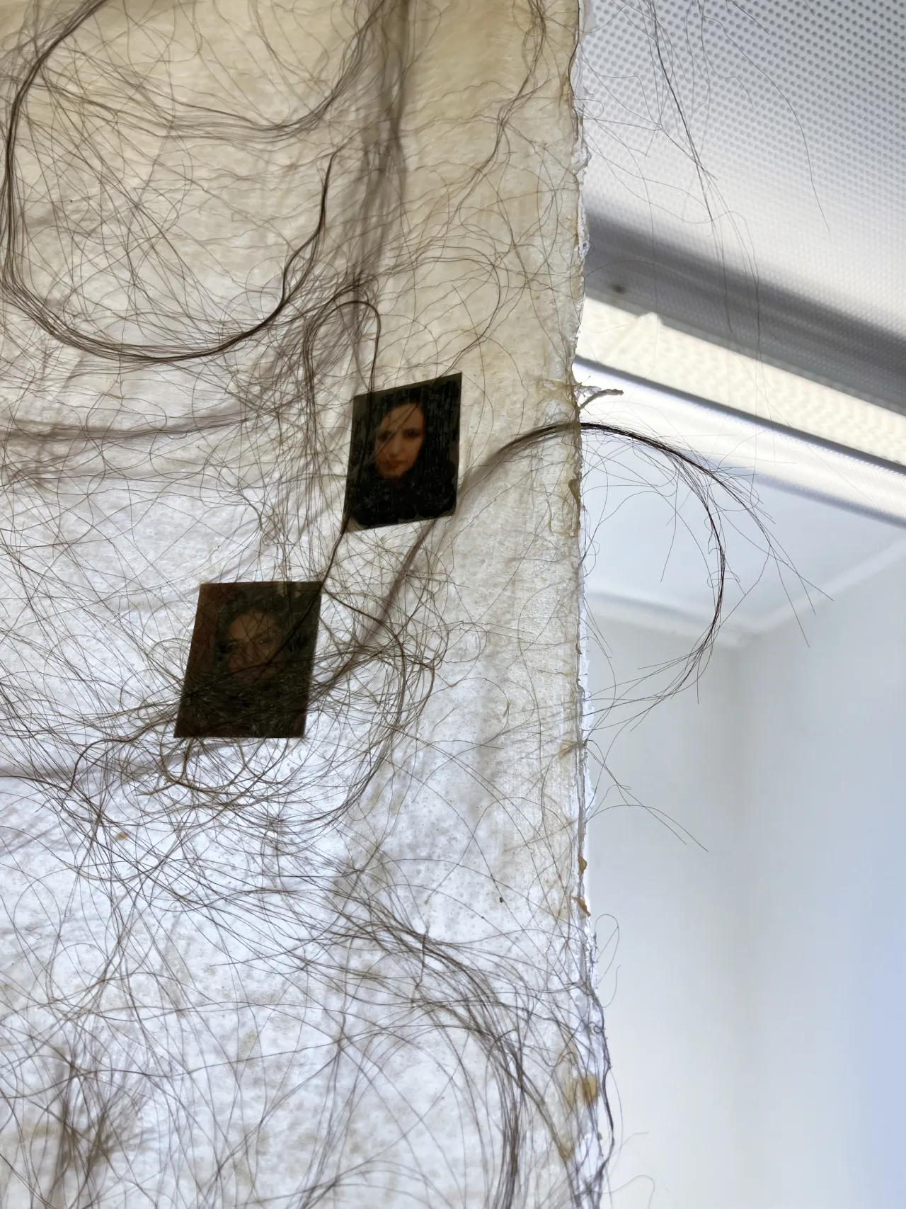Identity - Identity - Latex and Hair - 2024