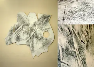 Wood N1 - charcoal on wood - 100x120 cm - 2017